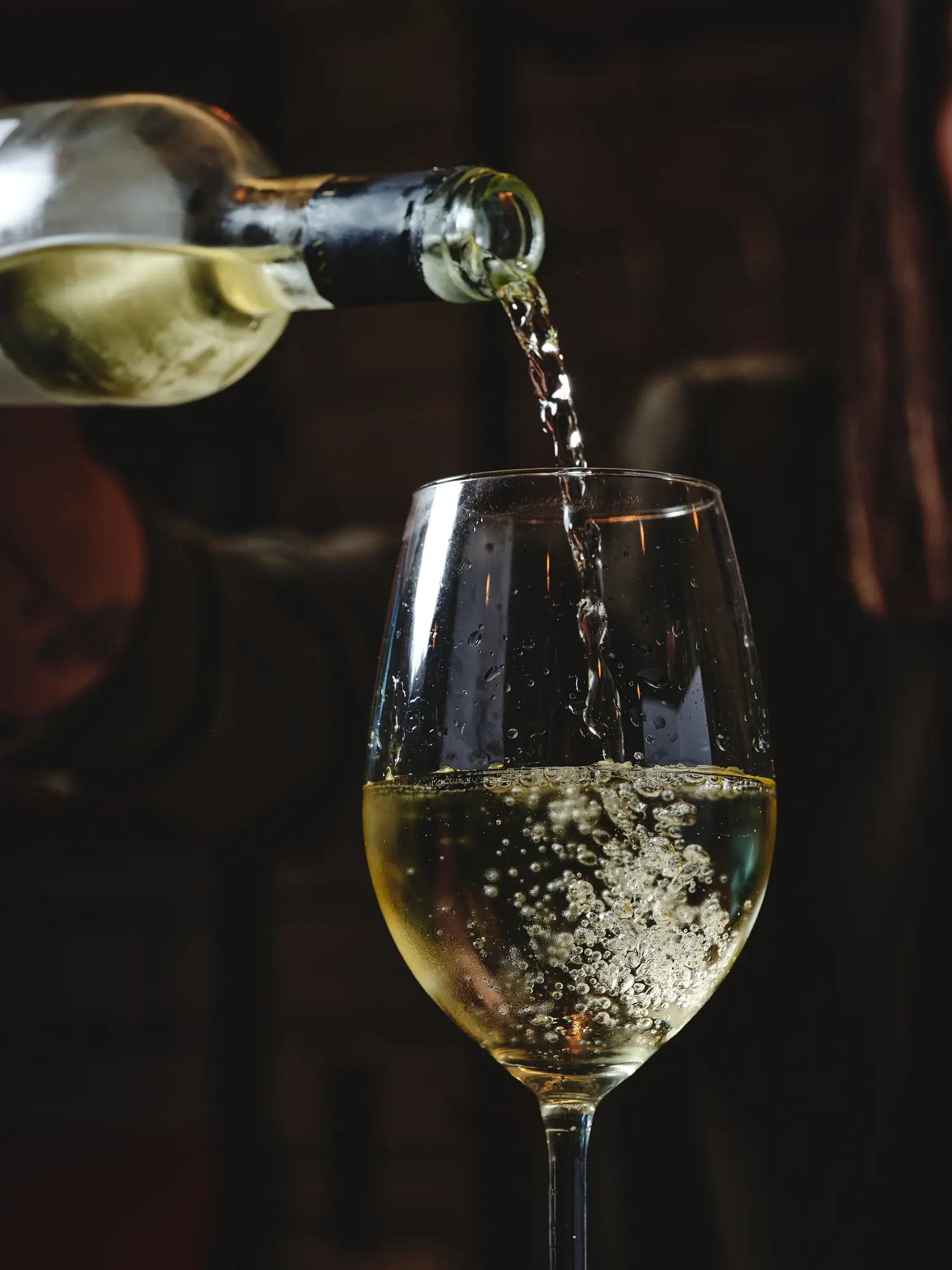 הופמן ראשל״צ 26